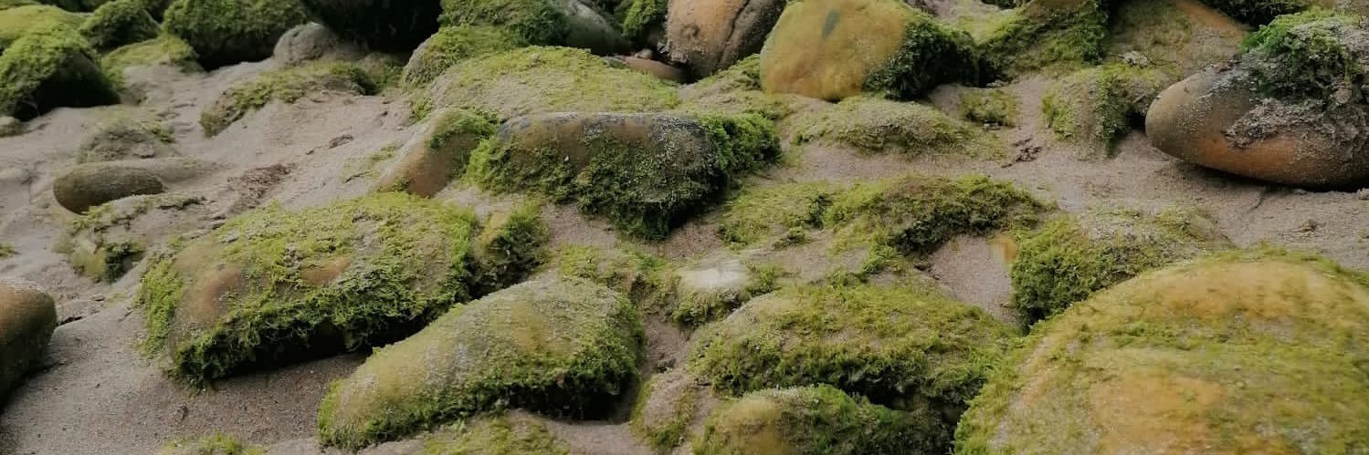 Lídia Penelo banner