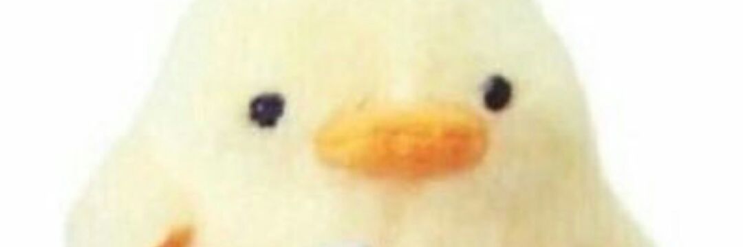 snotty22's profile banner image
