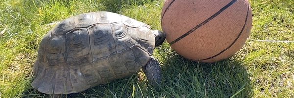 ottleyoconnor Profile Banner