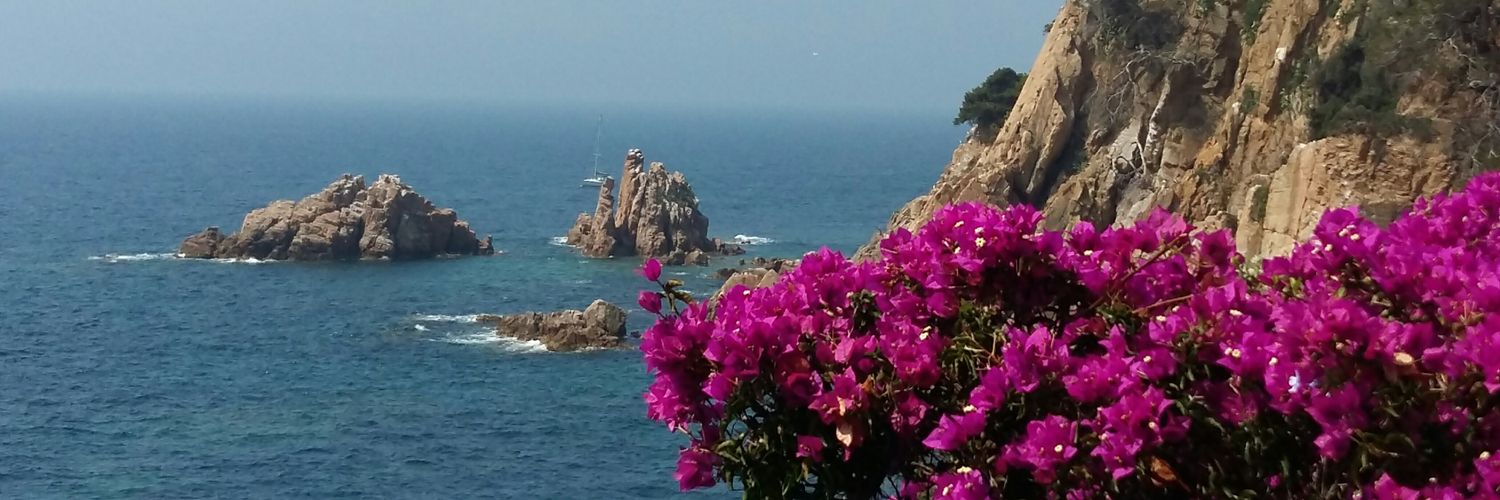 martabarah's profile banner image
