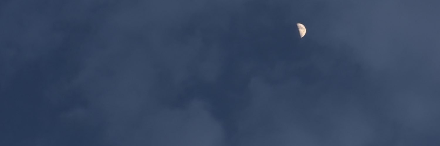 ash⋆౨ৎ˚⟡˖ banner