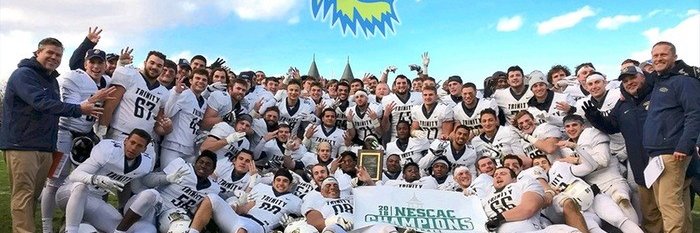 Lew Acquarulo banner