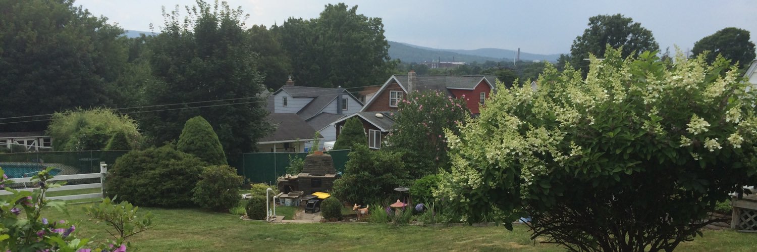 Mark Stepneski banner