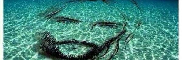ThiagoMeijon's profile banner image