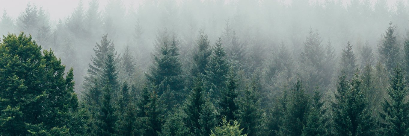LyvingDedGurl's profile banner image
