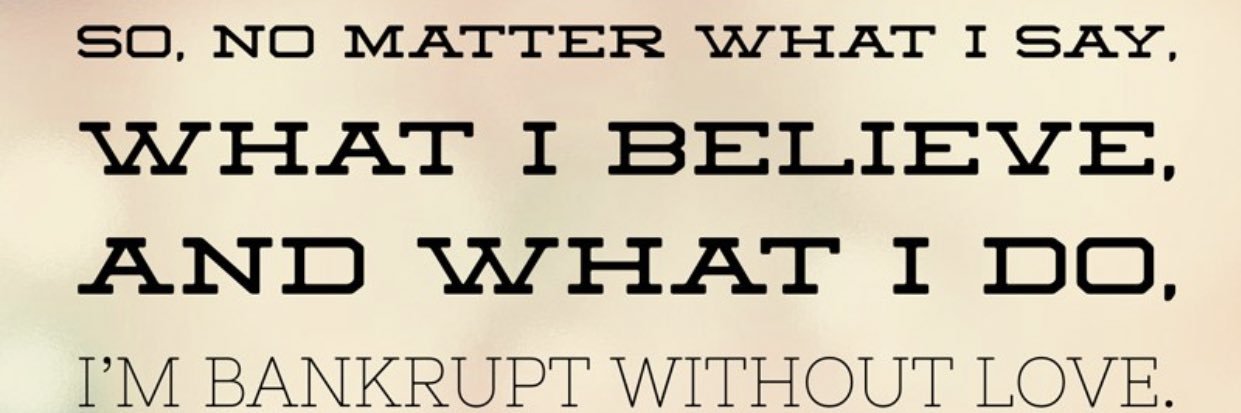 Tiernimarie's profile banner image