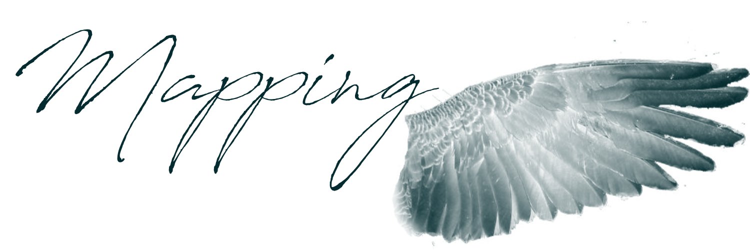 MappingReality's profile banner image