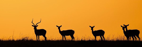 Ndongamweru Profile Banner