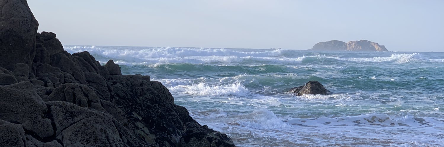 Vicente Guzmán banner