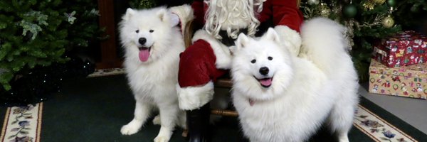 bckirsch Profile Banner