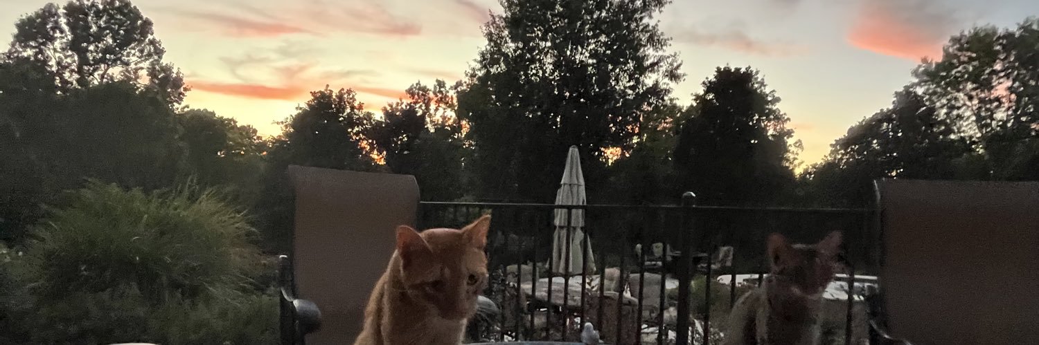 boonk_mike's profile banner image