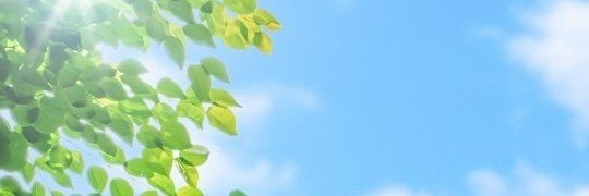 herownine's profile banner image