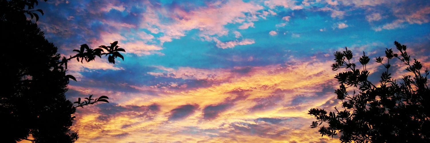 cocoRG311's profile banner image