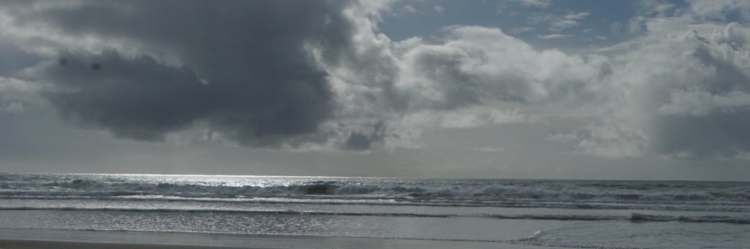 fern43's profile banner image