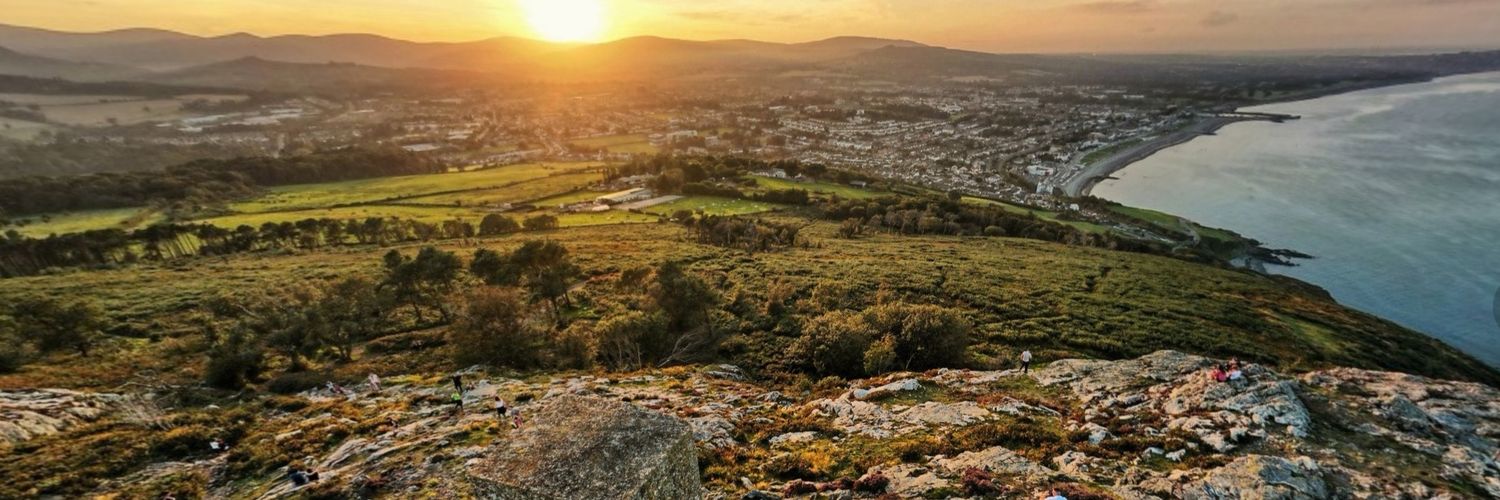 Simon Williams banner