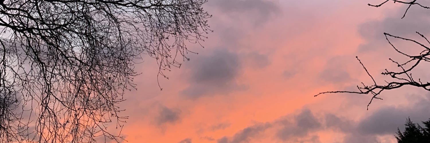 sadbhdolan's profile banner image