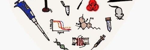 Paola de los Heros banner