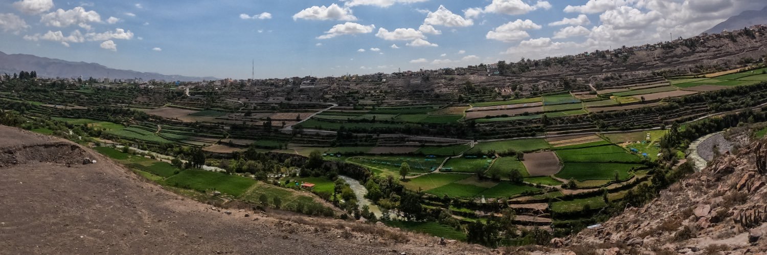 Diego Andrés Miranda Medina banner