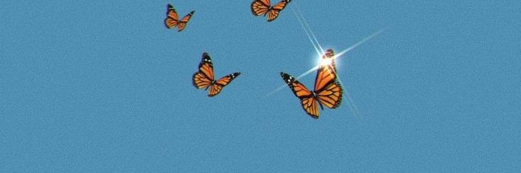 oplucas's profile banner image
