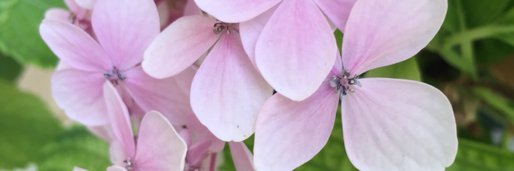 anammb4's profile banner image