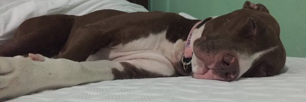 AngieL0228 Profile Banner