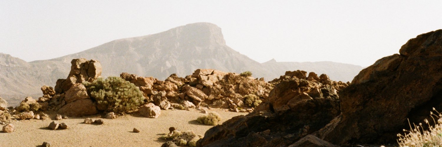 Davide Ferrari banner