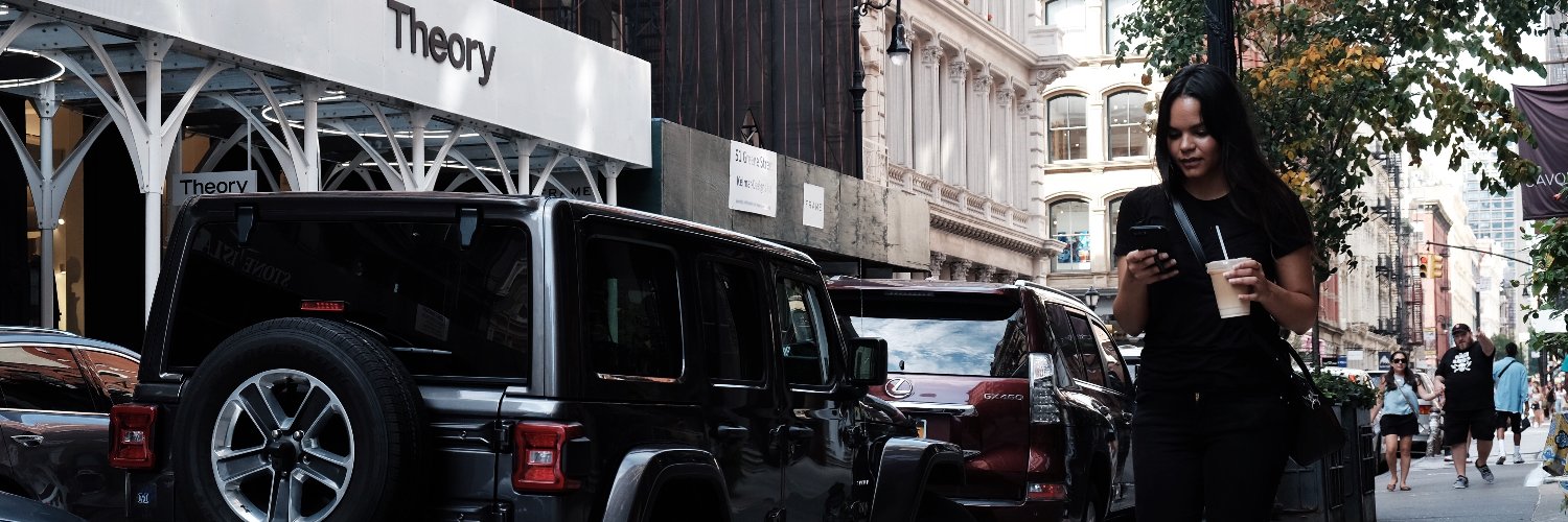 Dhariana Lozano  NYC Social Media Consultant banner