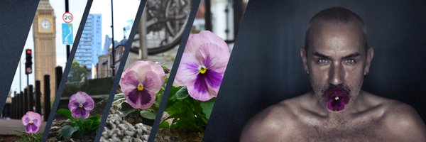 ThePansyProject Profile Banner