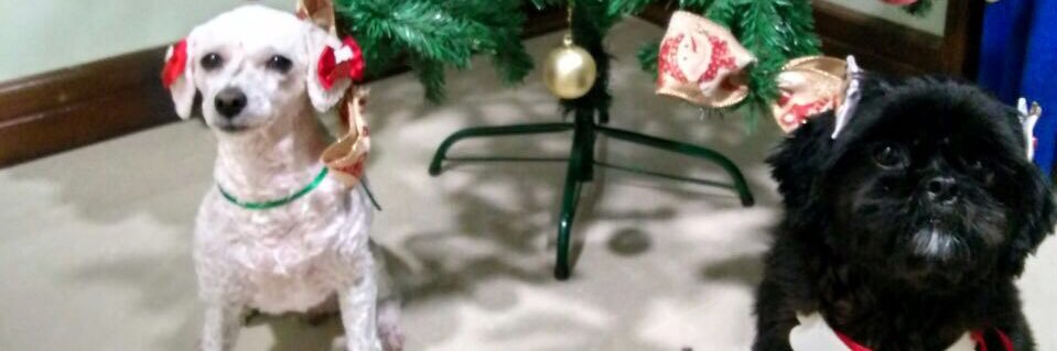 . banner