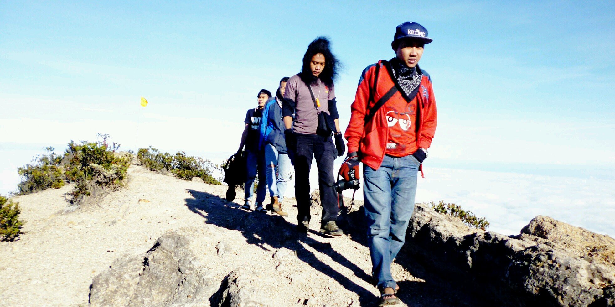 edi_djm31's profile banner image