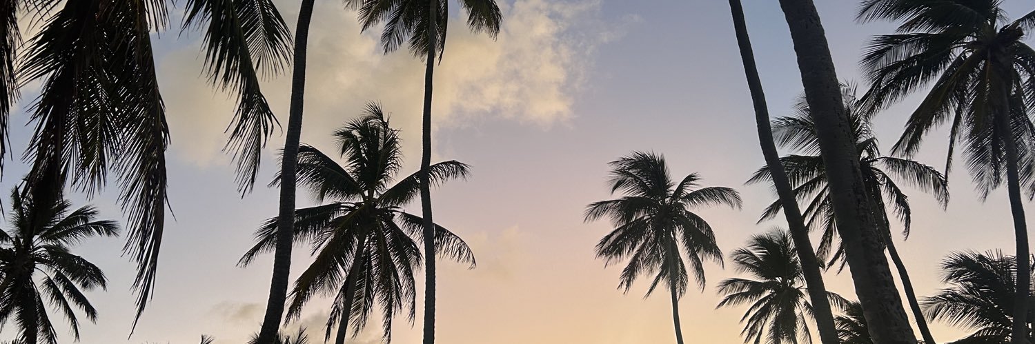 catalinasabee's profile banner image