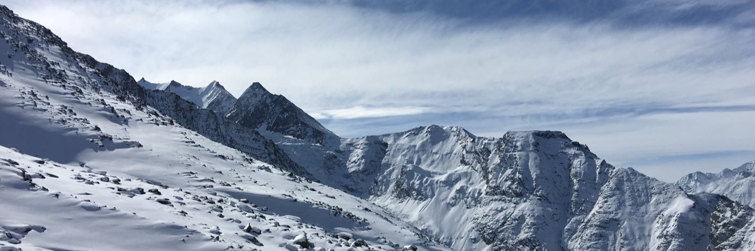 veerlestre's profile banner image