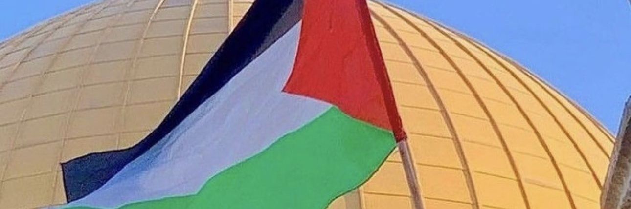 Ⓜ️🅾️h@♏ed s🅰️af@n🤍🤍💚💚🦅🦅🦅♥♥ banner