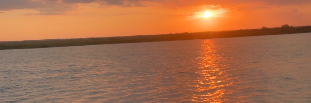 wch_21's profile banner image