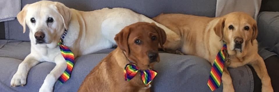 TracyWeitz's profile banner image