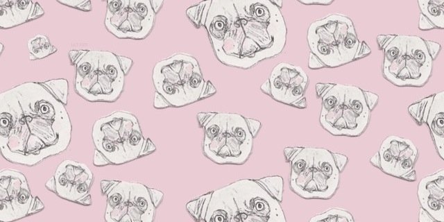 hellokietra's profile banner image