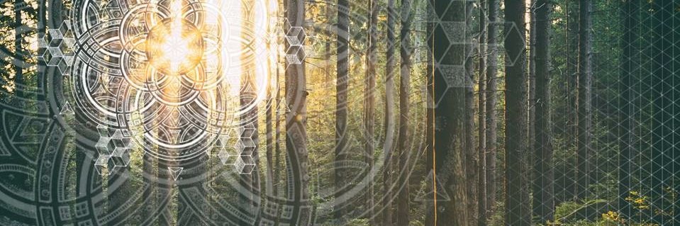 Natalie Colosimo banner