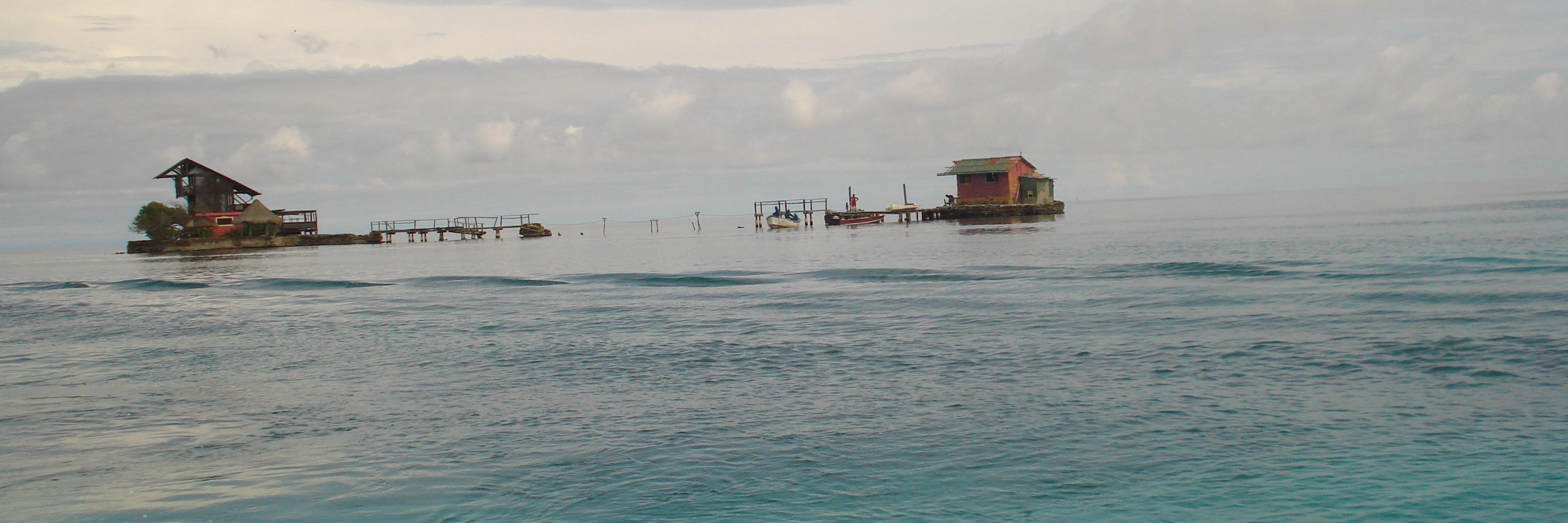 bcacp's profile banner image