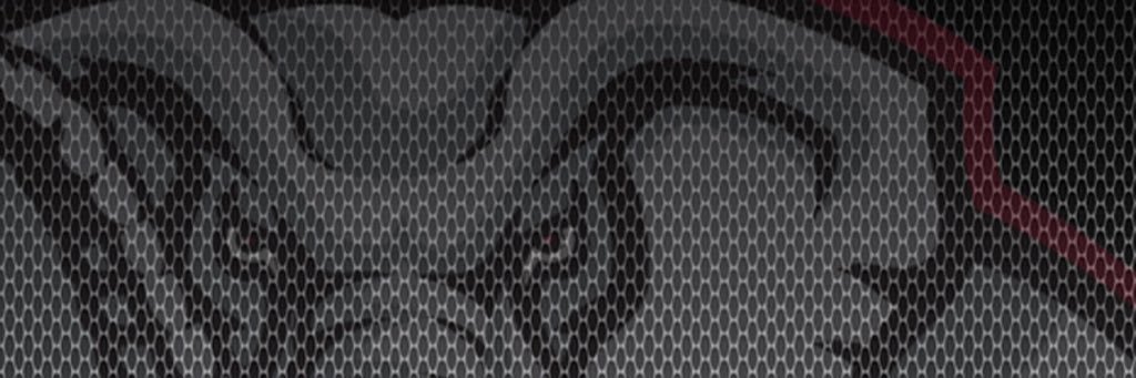 StanStrickland5's profile banner image