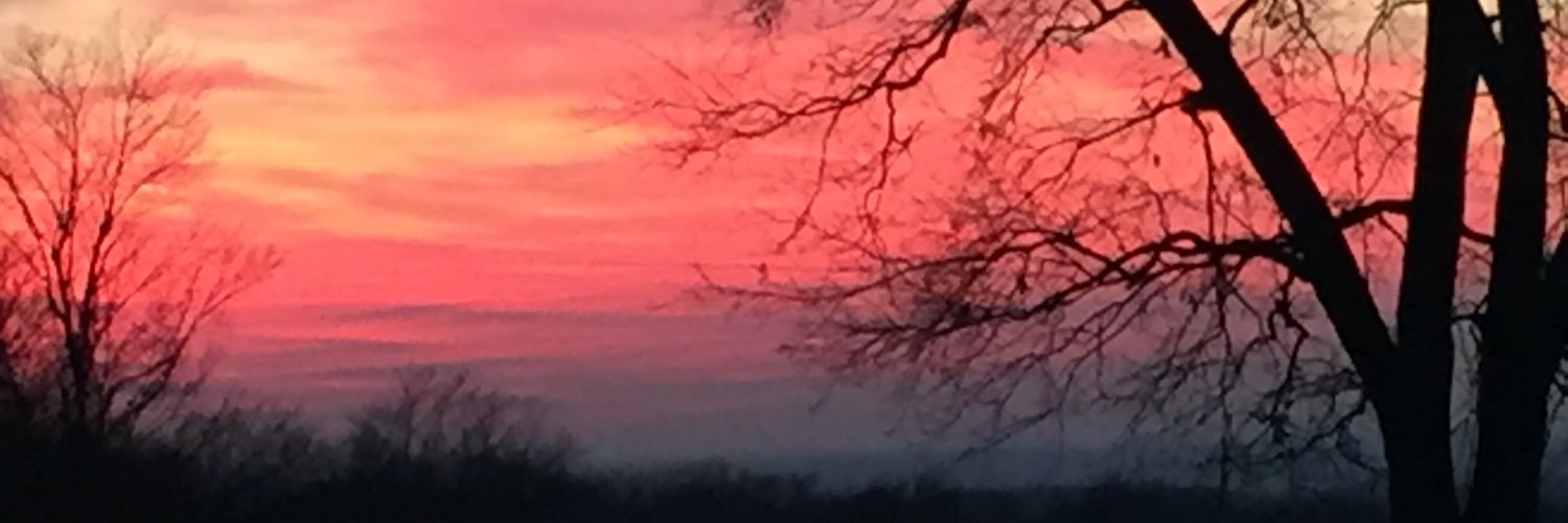 lori_robs21's profile banner image