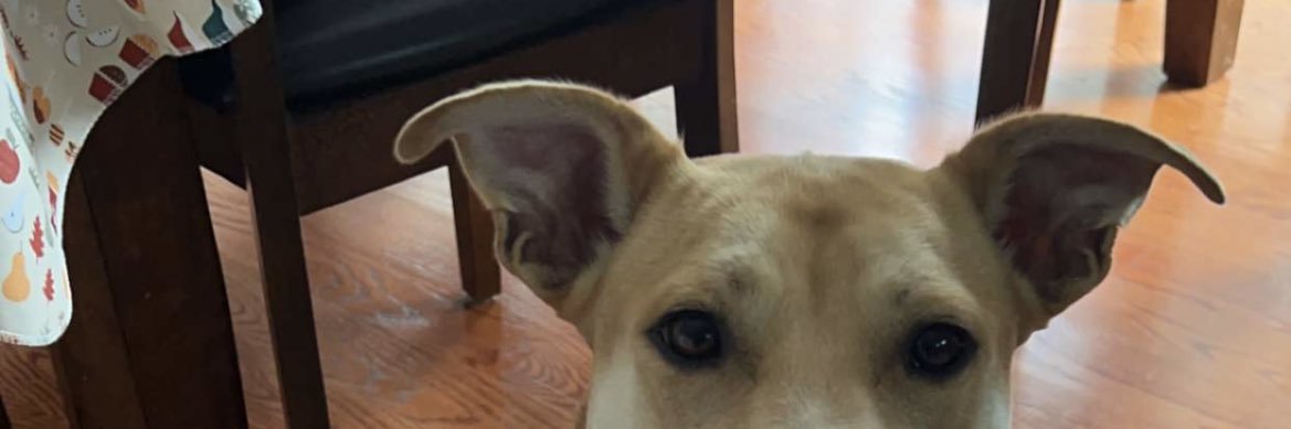 Caden Freetly banner