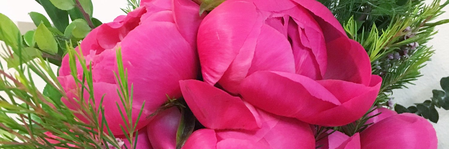 mollywood3's profile banner image