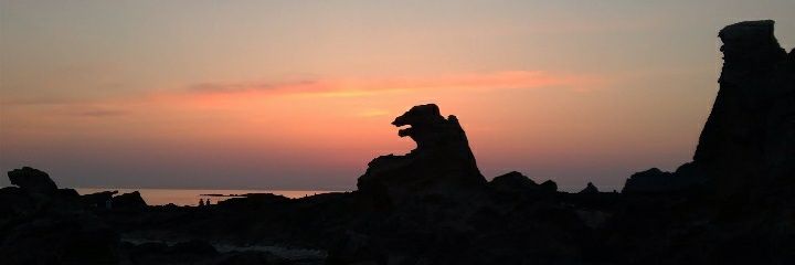 kimusuko's profile banner image