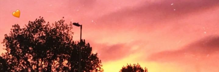 Loolamiranda's profile banner image