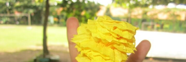 Desirokaeni's profile banner image