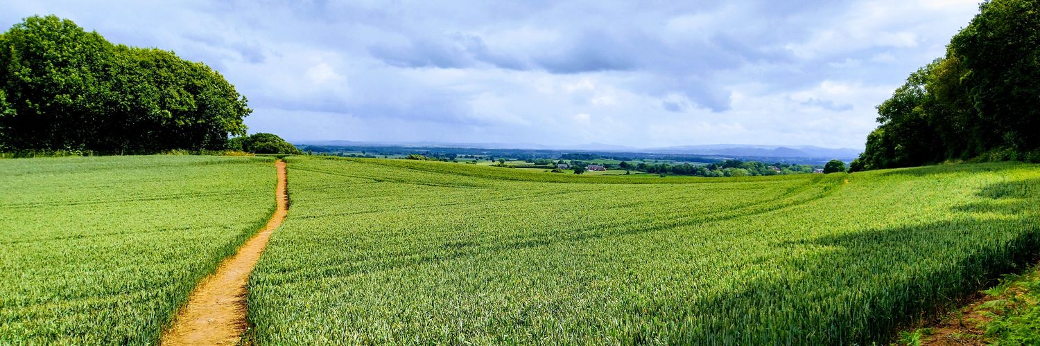 MikDela's profile banner image