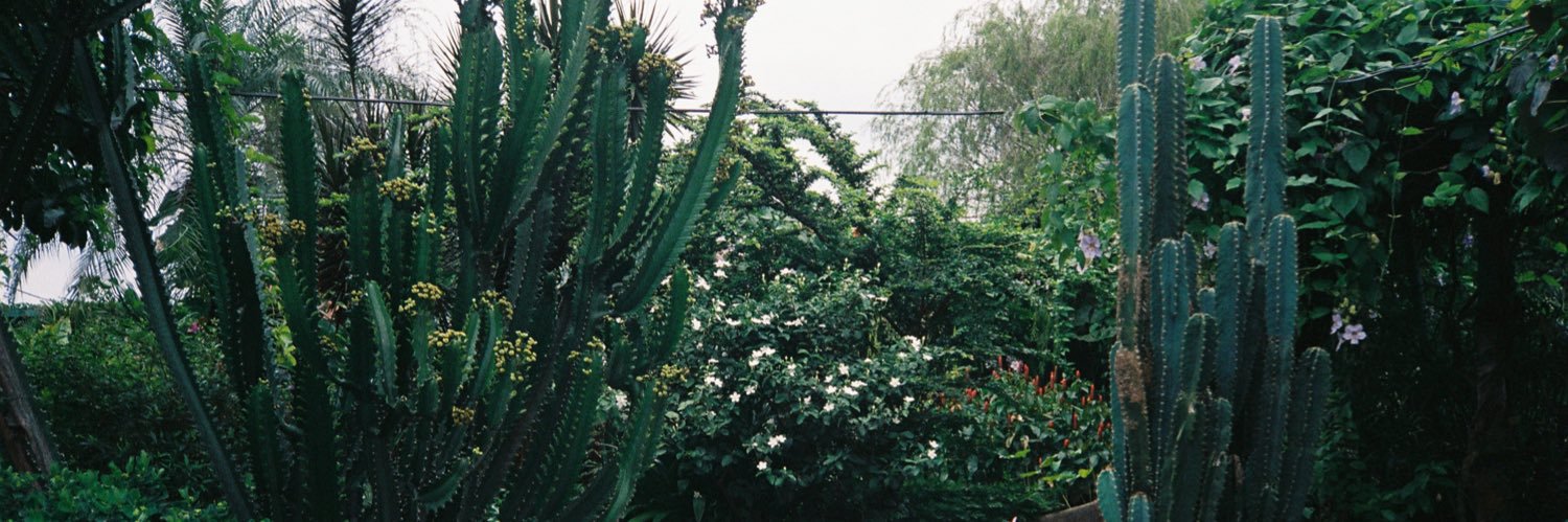 saralaaah's profile banner image