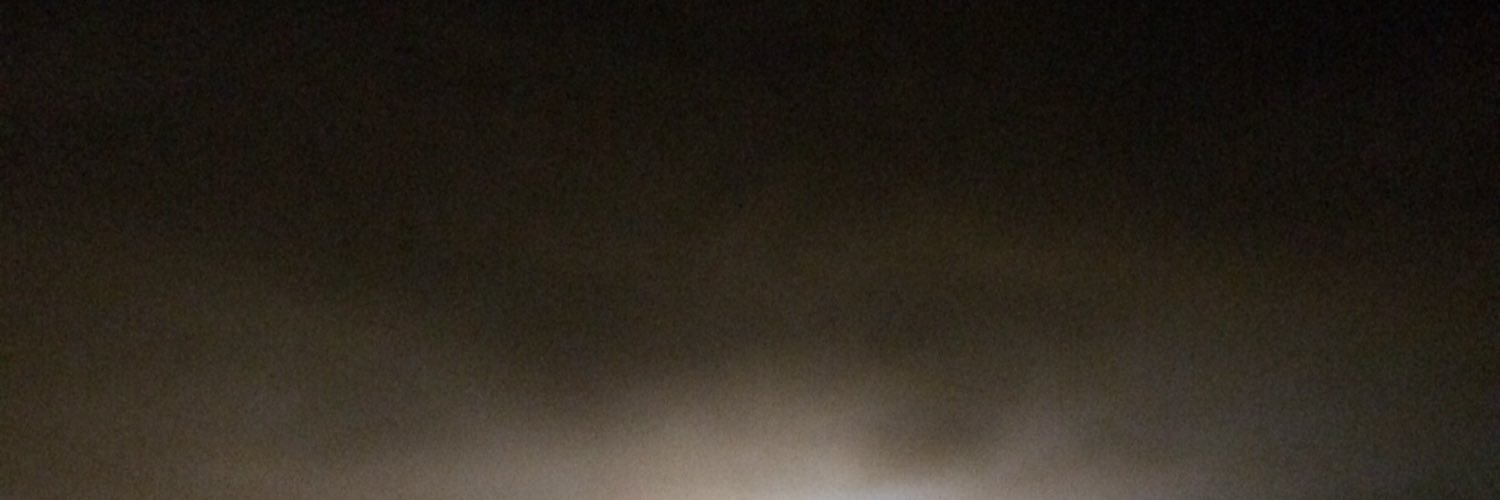 ElinaElink's profile banner image