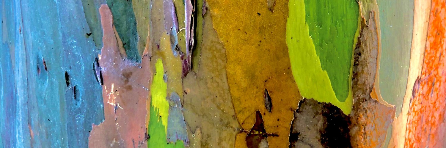 elarive's profile banner image