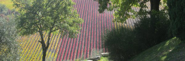 StevenMFinn Profile Banner